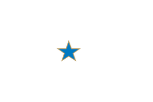 Allied Security